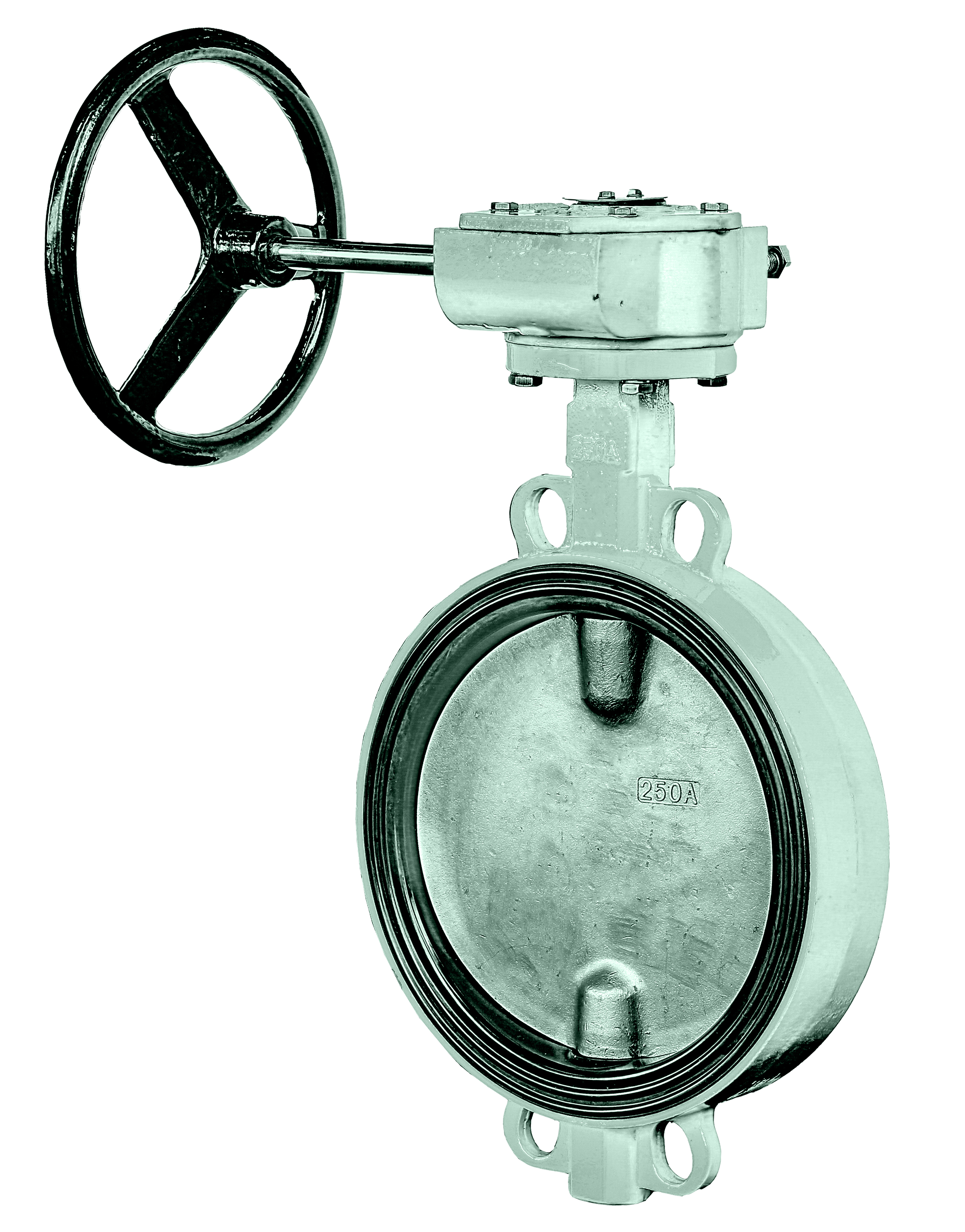 Затворы дисковые